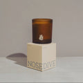 The Daily Candle