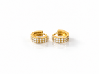 Small Huggie Earring